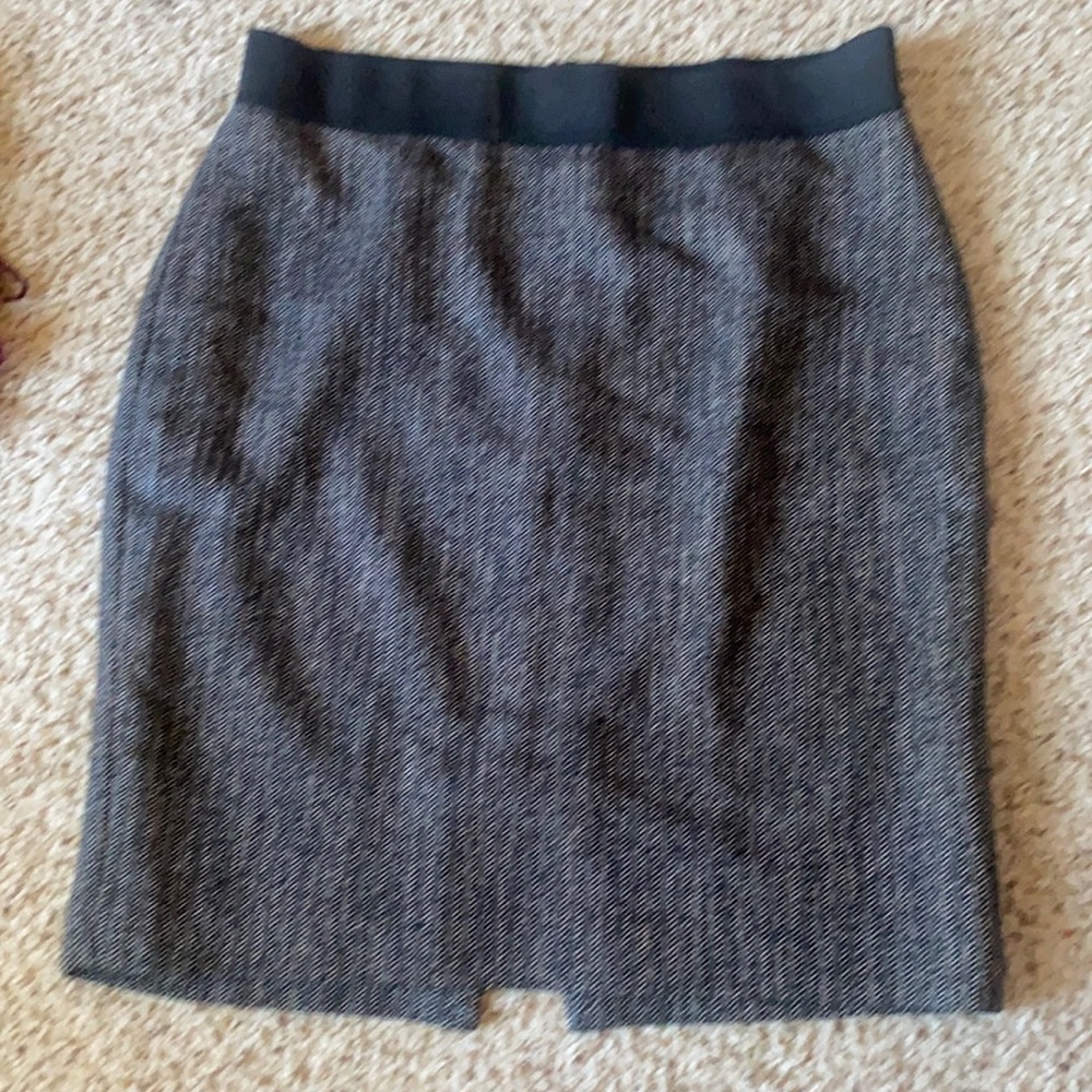 Express Skirts Professional